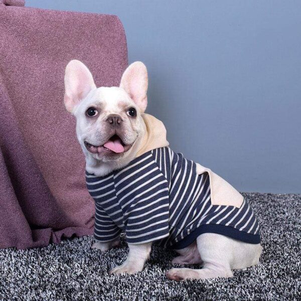 Frenchie World Shop Dino Striped Dog Hoodie