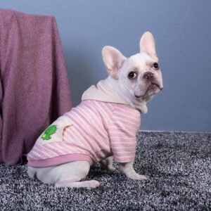 Frenchie World Shop Dino Striped Dog Hoodie