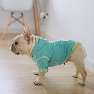 Frenchie World Shop Distressed Slick Dog Hoodie