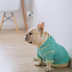 Frenchie World Shop Distressed Slick Dog Hoodie