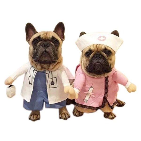 Frenchie World Shop Doctor And Nurse Halloween Dog Costume