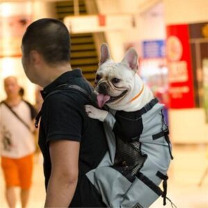 Frenchie World Shop Dog Backpack Sack Carrier