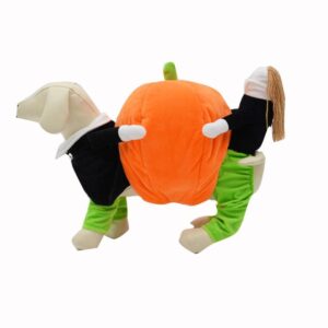 Frenchie World Shop Dog Carrying Pumpkin Costume