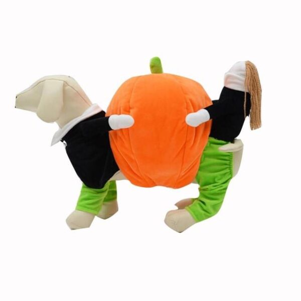 Frenchie World Shop Green / L Dog Carrying Pumpkin Costume