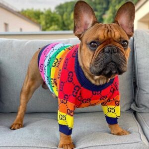 Frenchie World Shop Dog Cat Sweater Fashion Soft Pet Clothes Corgi Bulldog York Teddy Autumn Winter