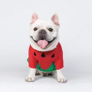 Frenchie World Shop Dog Clothes Elk Sweater For French Bulldog Corgi Pug Dog For Small &Medium Pet  Spring & Autumn Costume Sweater