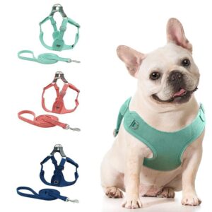 Frenchie World Shop Dog Harness Vest No Pull Puppy Cat Outdoor Walking Harness Leash Set French Bulldog Collars Pet Supplies For Small Medium Dogs