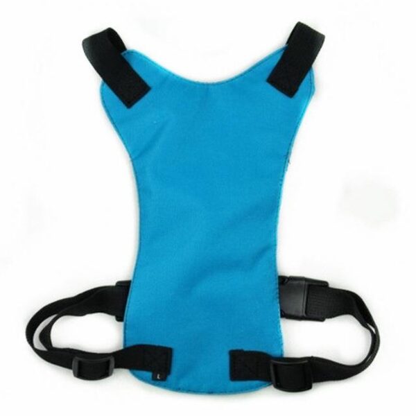 Frenchie World Shop Blue / L Dog Safety Belt Harness