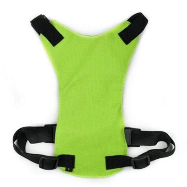 Frenchie World Shop Green / L Dog Safety Belt Harness