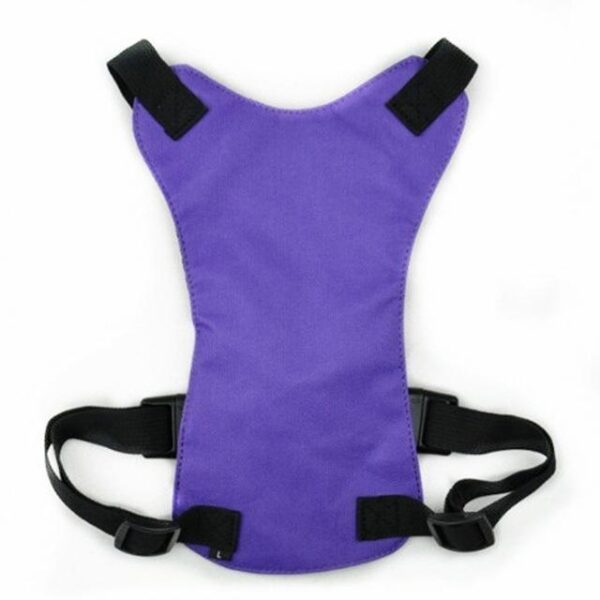 Frenchie World Shop Purple / L Dog Safety Belt Harness