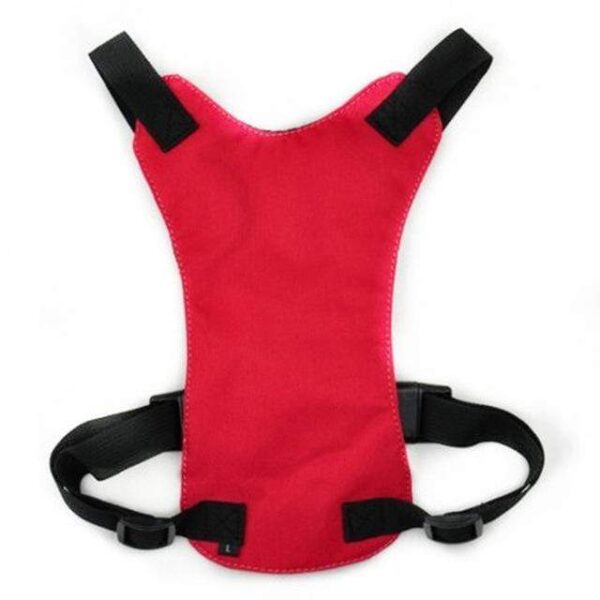 Frenchie World Shop Red / L Dog Safety Belt Harness