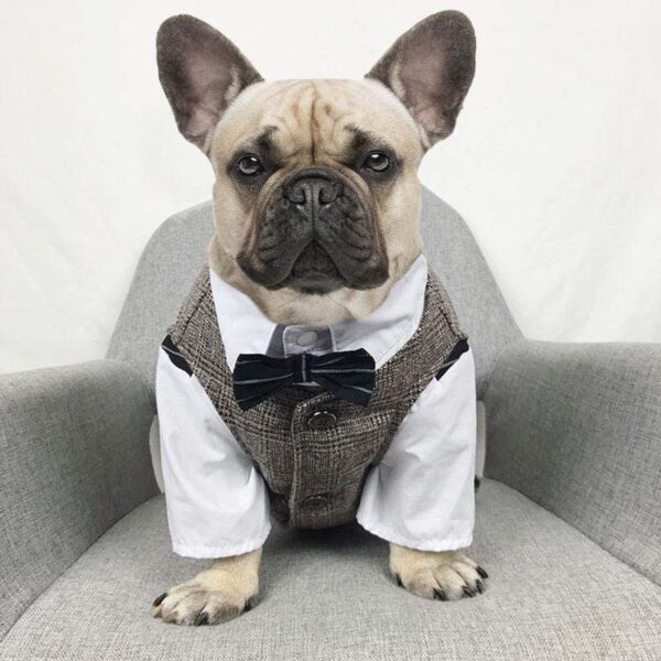 Frenchie World Shop Dog Tuxedo & Vest Set