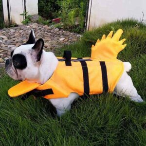 Frenchie World Shop Dragon French Bulldog Life Jacket