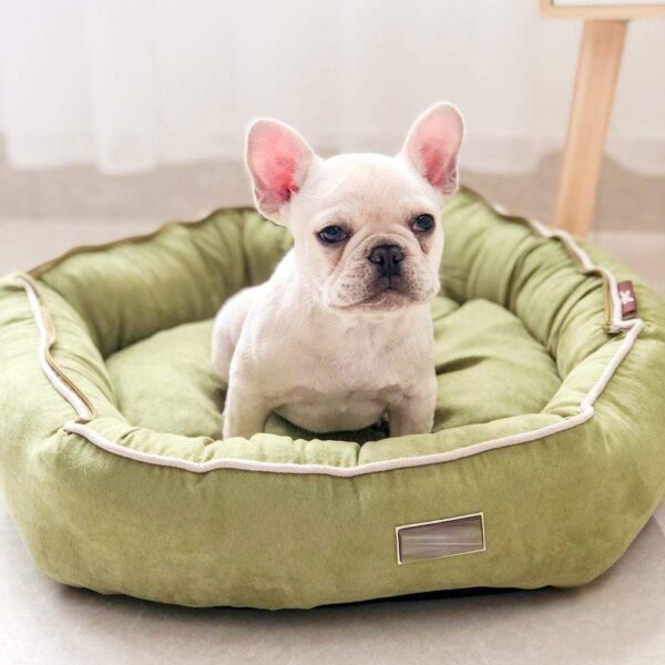 Frenchie World Shop Dual Suede French Bulldog Nest