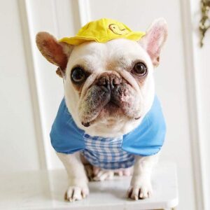 Frenchie World Shop Ducky Dog Shirt