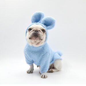 Frenchie World Shop Easter Bunny Fleece French Bulldog Hoodie