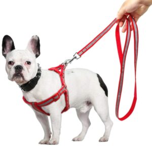 Frenchie World Shop Dog Accessories EASY WALK 7 Colors Nylon Reflective Dog Harness