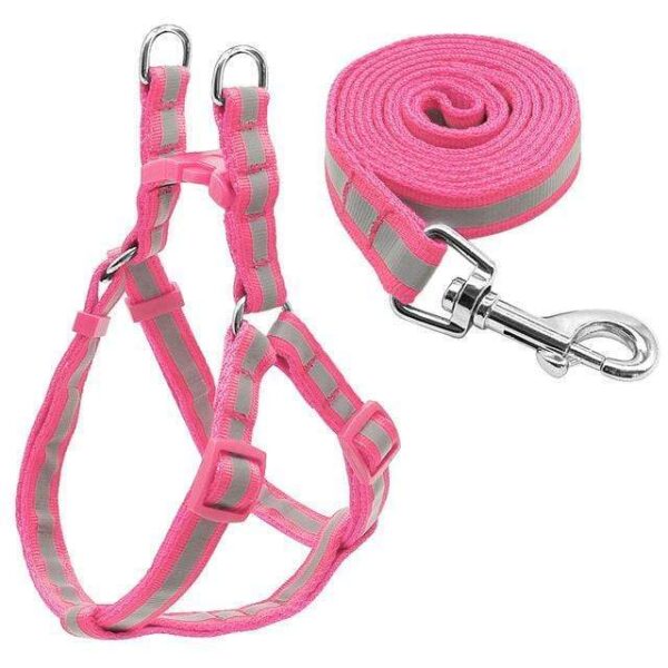 Frenchie World Shop Dog Accessories Pink / S EASY WALK 7 Colors Nylon Reflective Dog Harness