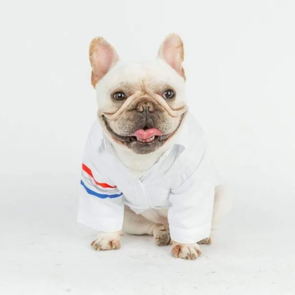 Frenchie World Shop Elegant French Bulldog Oxford Shirt