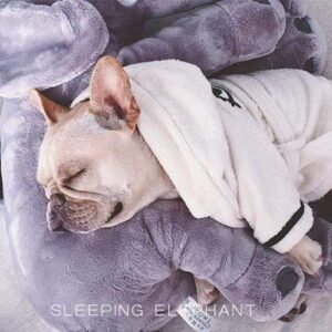 Frenchie World Shop Elephant plush sleeping pillow