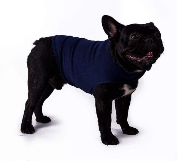 Frenchie World Shop Emotional Appeasing Clothes: Dog Anxiety Jacket