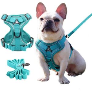 Frenchie World Shop Escape Proof Dog Harness and Leash Set for Small Dogs Cats Outdoor Walking Reflective Nylon Padded French Bulldog Harness Vest