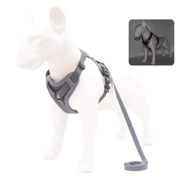 Frenchie World Shop Gray / M Escape Proof Dog Harness and Leash Set for Small Dogs Cats Outdoor Walking Reflective Nylon Padded French Bulldog Harness Vest