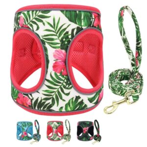 Frenchie World Shop Exotic Vibes Summer French Bulldog Harness