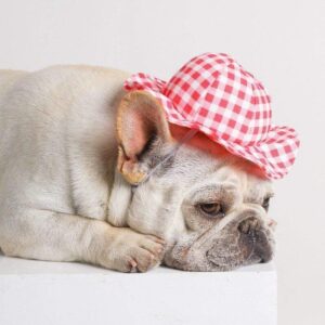 Frenchie World Shop Fashion Dog Hat for Small Medium Dogs Summer Sun-Proof Hat for Cats Plaid Dog Hats Decor Photo Taking Accessories for Pets