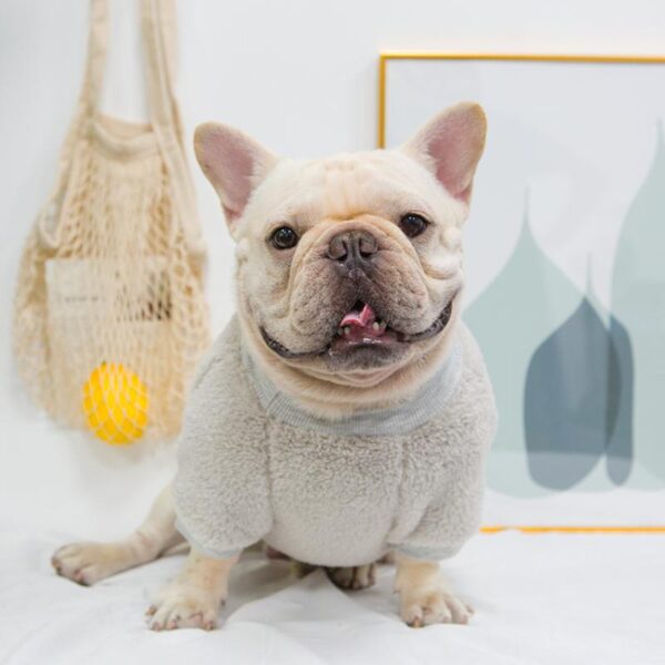 Frenchie World Shop Faux Fur French Bulldog Sweatshirt