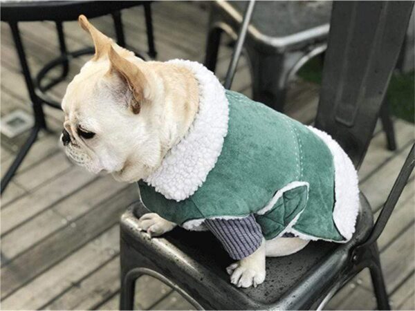 Frenchie World Shop Faux Suede Dog Vest