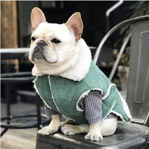 Frenchie World Shop Green / XS Faux Suede Dog Vest