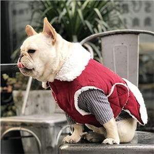 Frenchie World Shop Red / XS Faux Suede Dog Vest