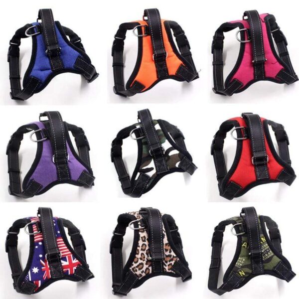 Frenchie World Shop Firm Modern Harness by Frenchie World