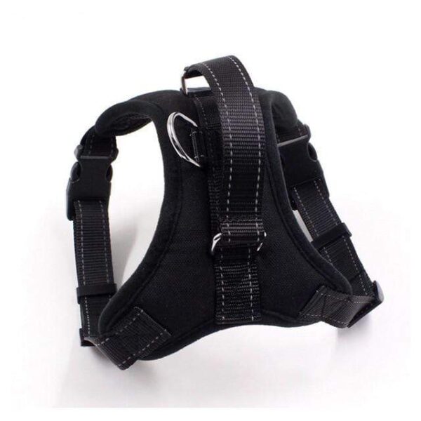 Frenchie World Shop black / S Firm Modern Harness by Frenchie World