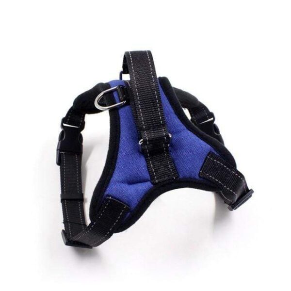 Frenchie World Shop blue / S Firm Modern Harness by Frenchie World