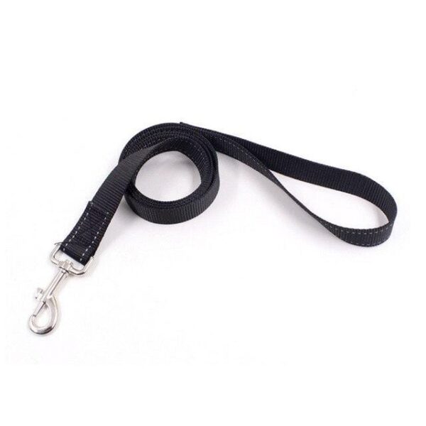 Frenchie World Shop Leash / S Firm Modern Harness by Frenchie World