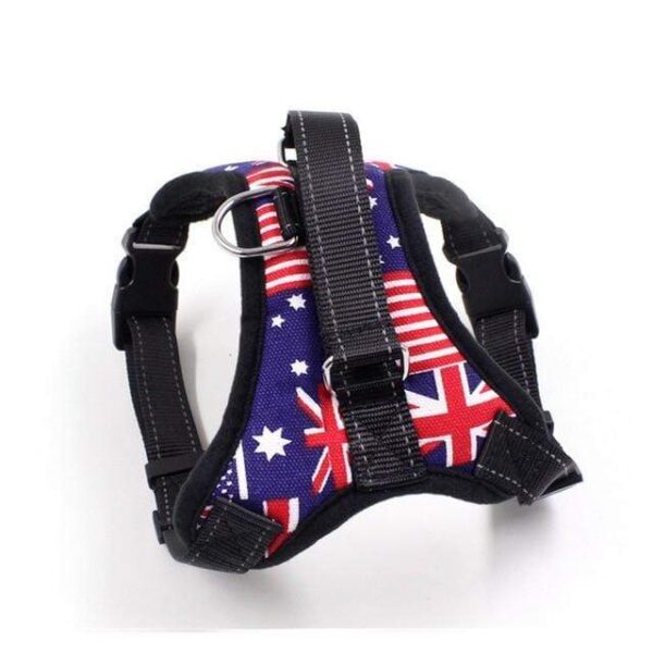 Frenchie World Shop National flag / S Firm Modern Harness by Frenchie World