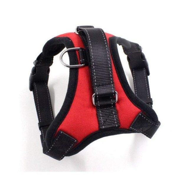 Frenchie World Shop red / S Firm Modern Harness by Frenchie World