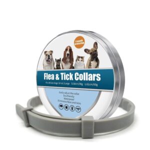 Frenchie World Shop Flea and Tick French Bulldog Collars