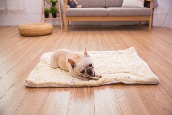 Frenchie World Shop Fluffy Dog Sleeping Pad Blanket