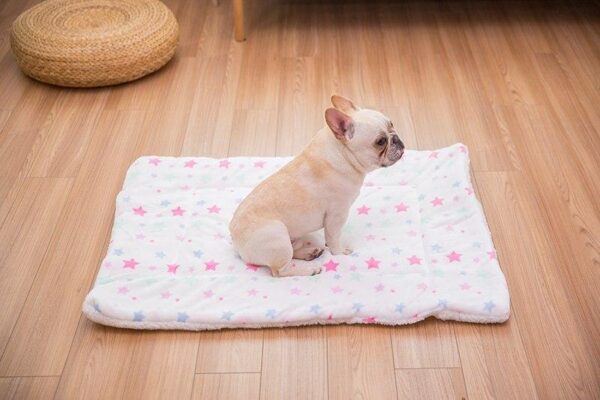 Frenchie World Shop Fluffy Dog Sleeping Pad Blanket