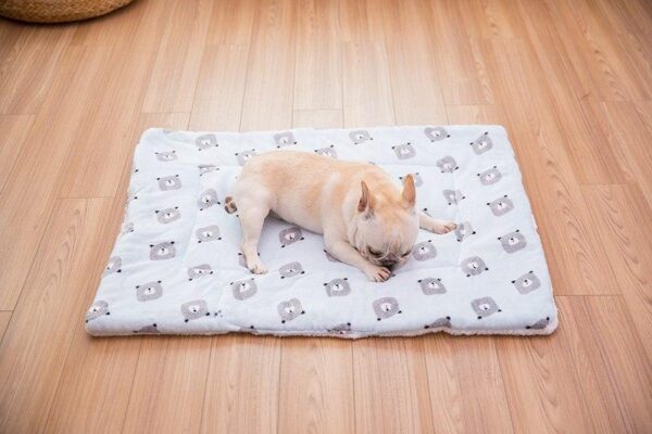 Frenchie World Shop Fluffy Dog Sleeping Pad Blanket