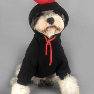 Frenchie World Shop Black / XXL Fluffy Valentine French Bulldog Hoodie