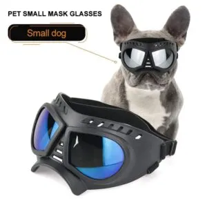 Frenchie World Shop Black / S French Bulldog Anti-UV Sunglasses