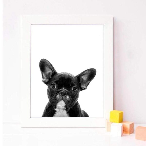 Frenchie World Shop French Bulldog Art Canvas Print