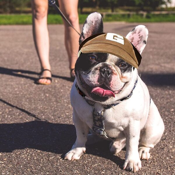Frenchie World Shop French Bulldog Baseball Mesh Cap