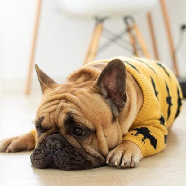 Frenchie World Shop French Bulldog Batpig Sweater