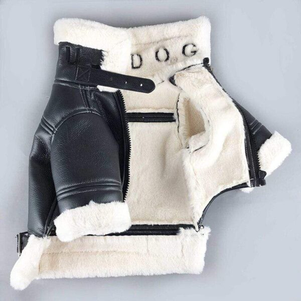 Frenchie World Shop French Bulldog Biker Jacket