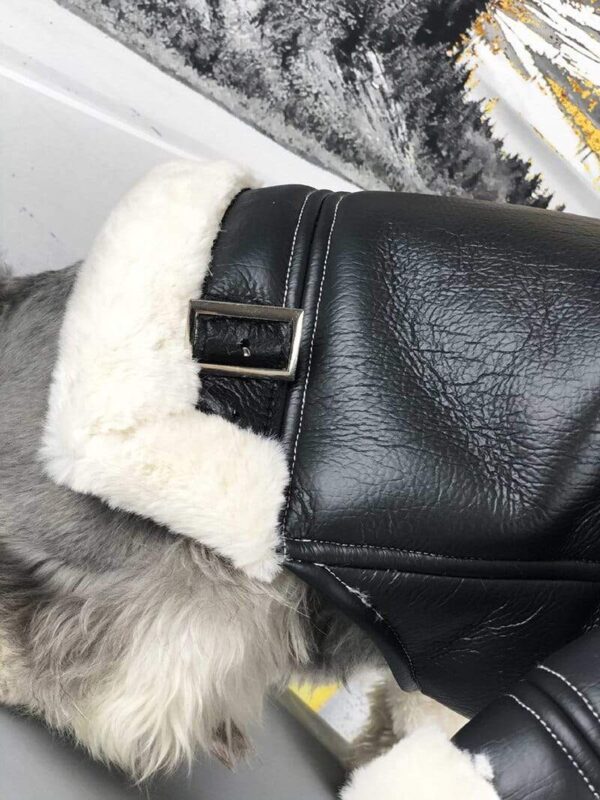 Frenchie World Shop French Bulldog Biker Jacket